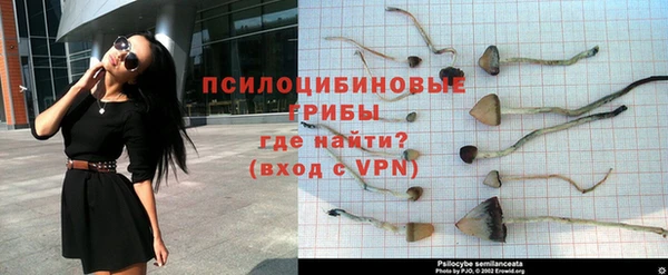 прущая мука Козловка