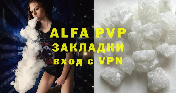 ГАЛЛЮЦИНОГЕННЫЕ ГРИБЫ Корсаков